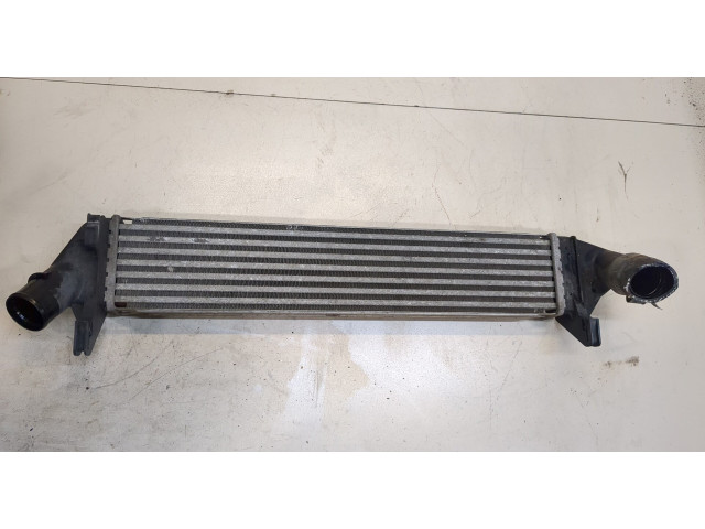 Интеркулер Dacia Logan 2004-2012 8200409045