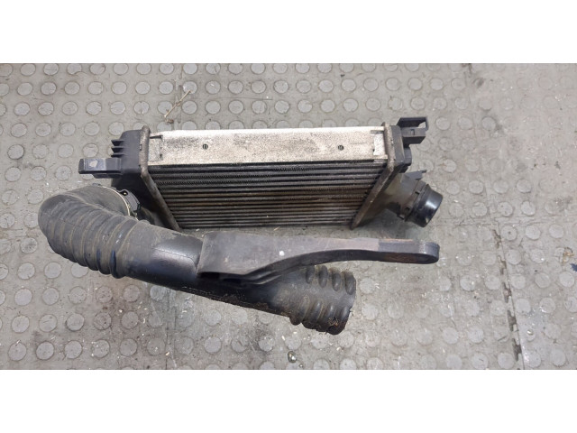 Интеркулер Dacia Sandero 2012-