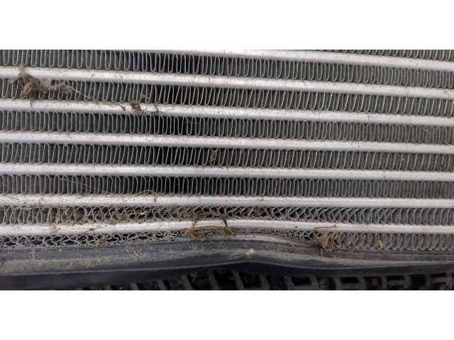 Интеркулер  Volkswagen Golf Plus 1.9  1K0145803L    