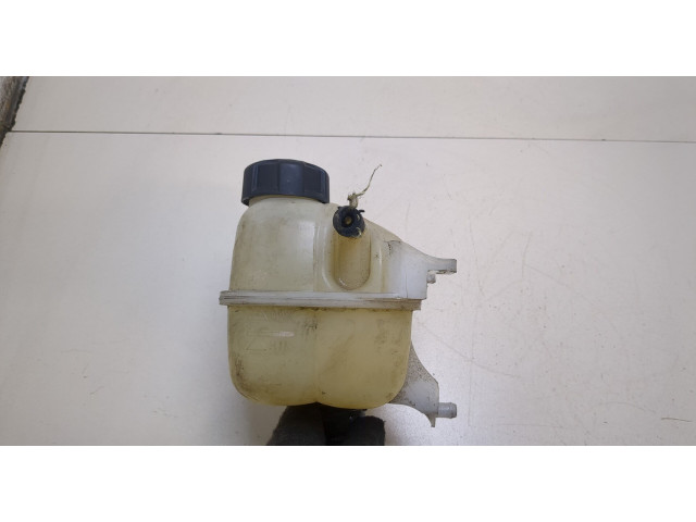Бачок расширительный  Mini Countryman (R60) 2010-2016    