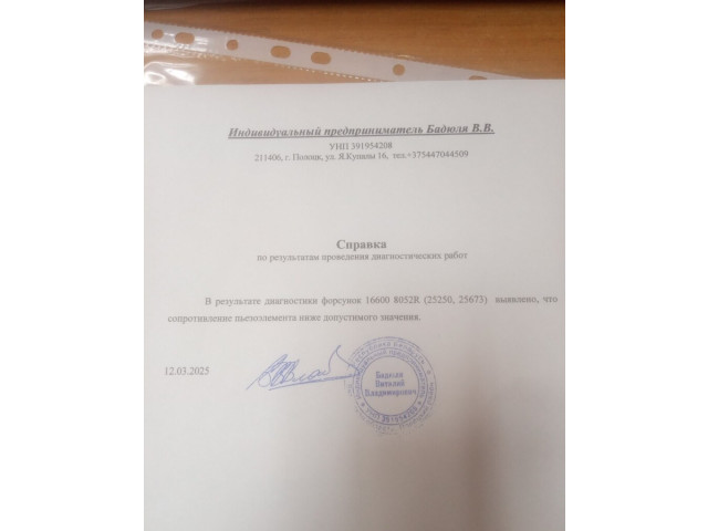 Форсунка топливная Dacia Duster 2010-2017 8200704191