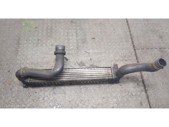 Интеркулер  Ford Galaxy 2000-2006 1.9      