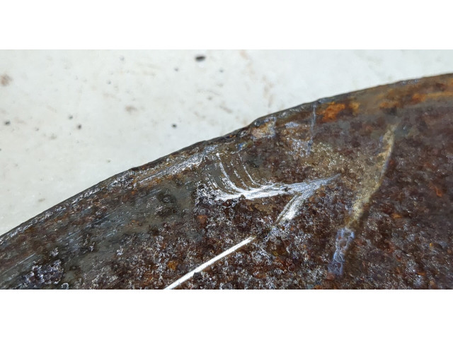 Диск тормозной Volkswagen Jetta 7 2018- задний