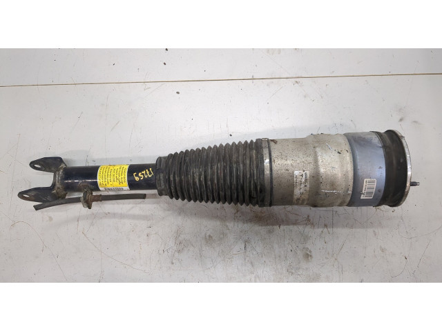 Стойка амортизатора Tesla Model S F4BE5J091W0, 600635104a