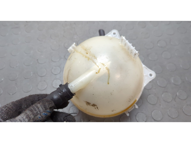 Бачок расширительный  Skoda Rapid 2012-2020    