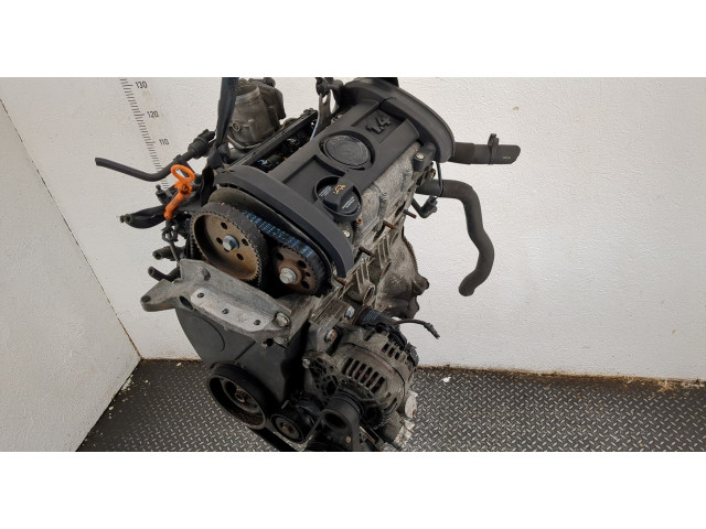 Форсунка топливная Skoda Roomster 2006-2015 036906031AG