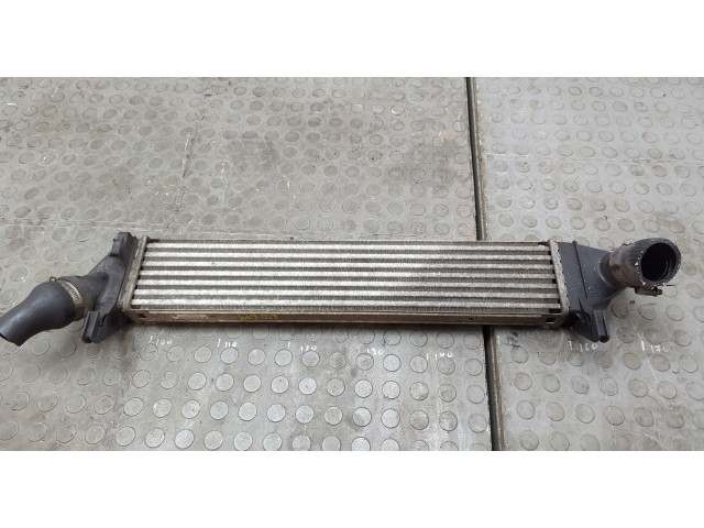 Интеркулер Dacia Logan 2004-2012 8200409045