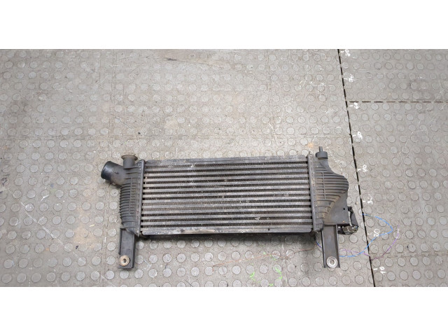 Интеркулер Nissan Pathfinder 2004-2014 14461EB360