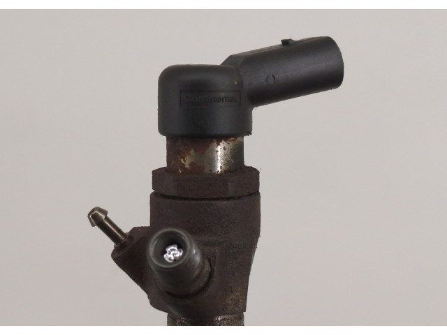 Форсунка топливная  Dacia Duster 2010-2017    8200704191     