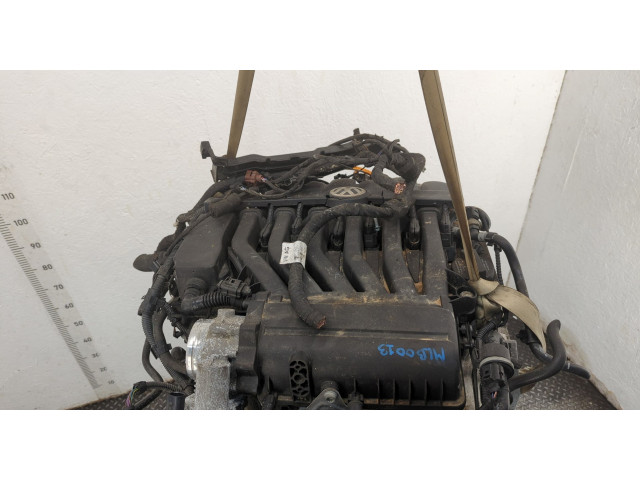 Форсунка топливная  Volkswagen Passat 7 2010-2015 Европа    03H133317P, 03H906036, 03H906036A     