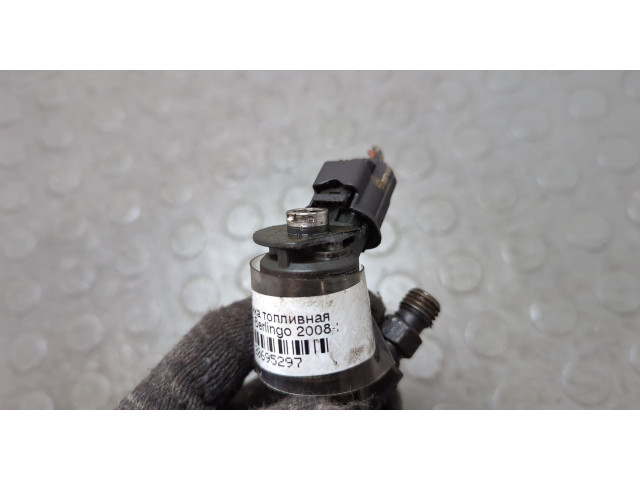 Форсунка топливная Citroen Berlingo 2008-2012 1980L1, 1980CQ, 0445110311