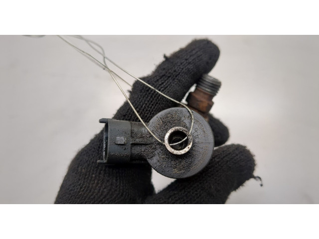 Форсунка топливная Dacia Sandero 2013-2020 166008399R, 166007238R