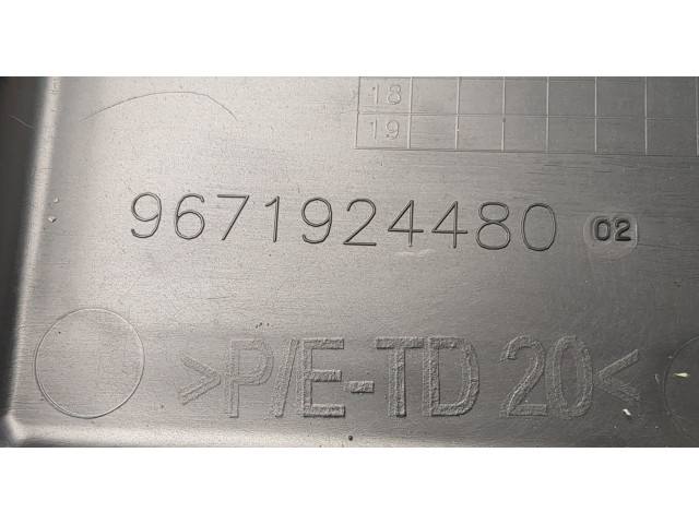 Блок предохранителей Peugeot 2008 2013-2019 9671924480