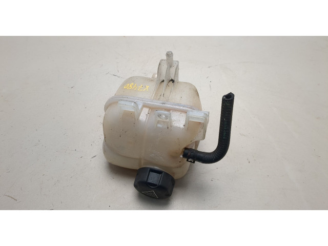 Бачок расширительный  Mini Countryman (R60) 2010-2016 17137823626, 7823626   