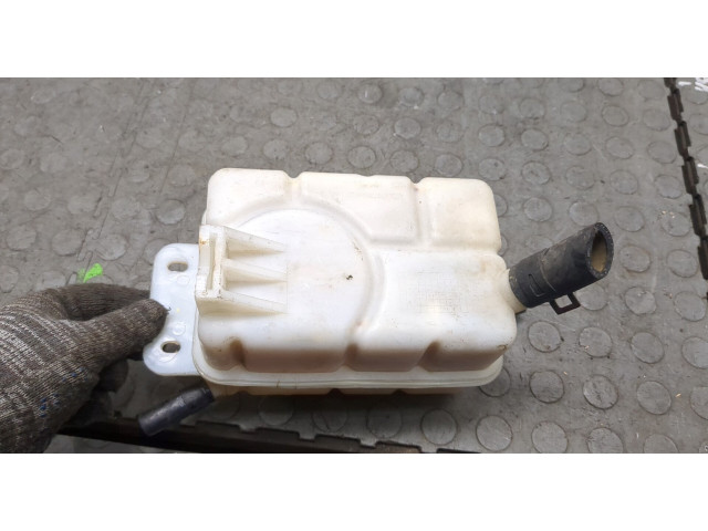 Бачок расширительный  Chevrolet Aveo (T250 / 255) 2008-2011    