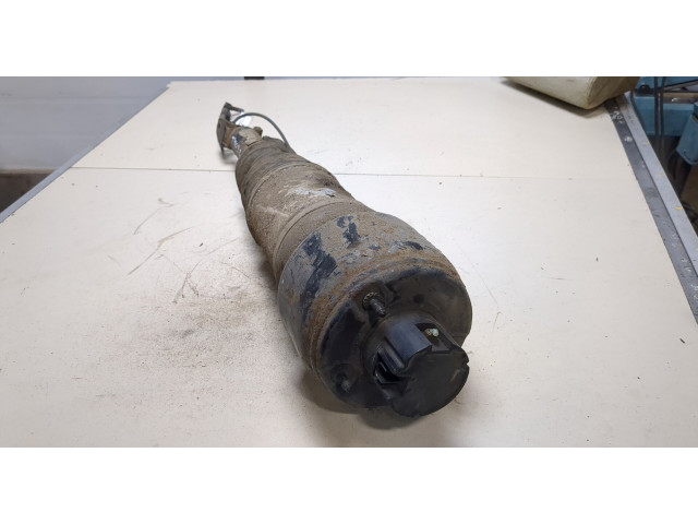 Стойка амортизатора Mercedes CLS C219 2004-2010 A2193201113, A2193201213