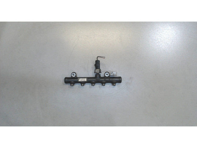 Рампа (рейка) топливная  Peugeot Expert 2007-2016       