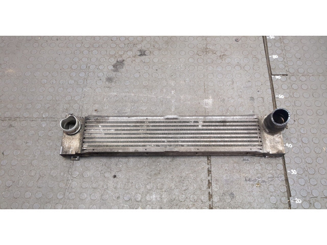 Интеркулер  Mercedes Vito W639 2004-2013       