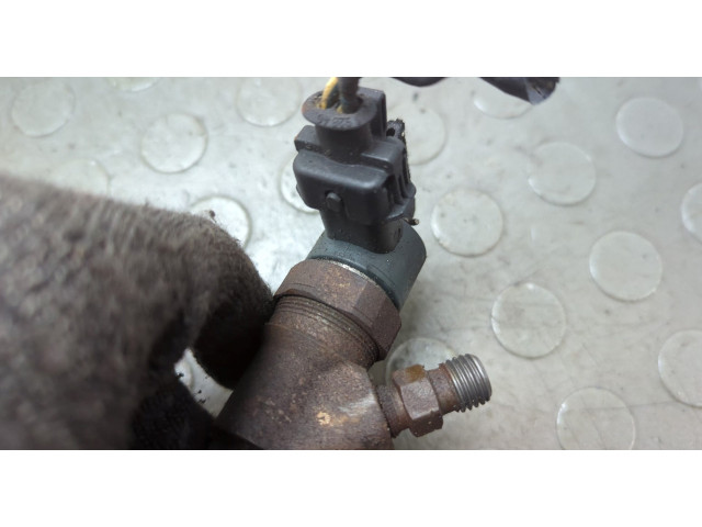 Форсунка топливная  Jeep Liberty 2001-2007    5066820AA, 0445110059     