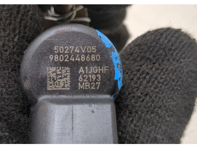 Форсунка топливная  Citroen DS4 2010-2018    9802448680     