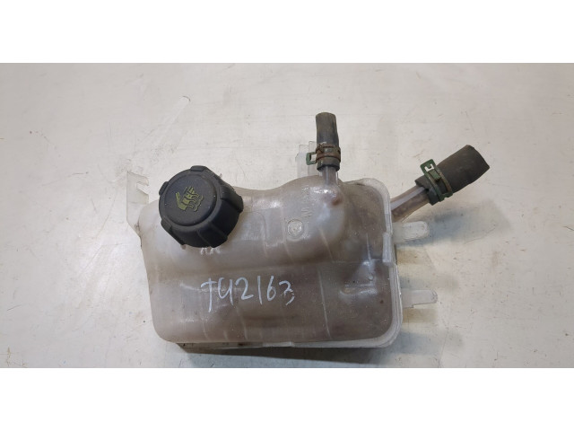 Бачок расширительный  Renault Megane 3 2009-2016 217100005   