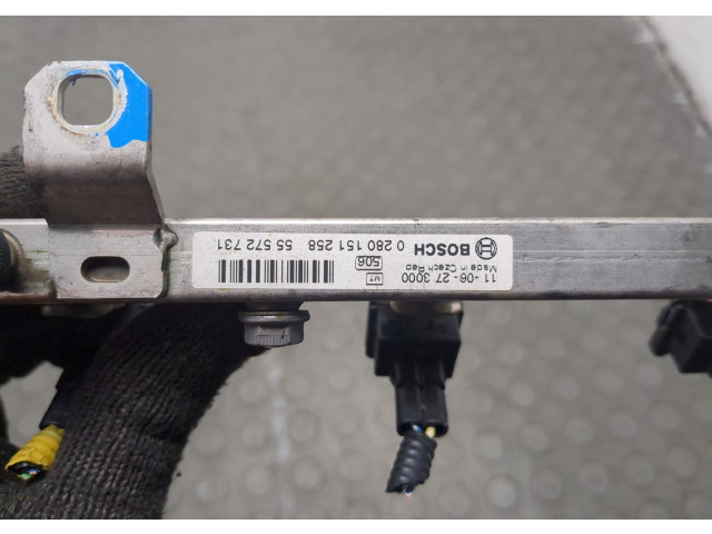 Форсунка топливная  Chevrolet Aveo (T300) 2011-2015    24420543, 55572731     