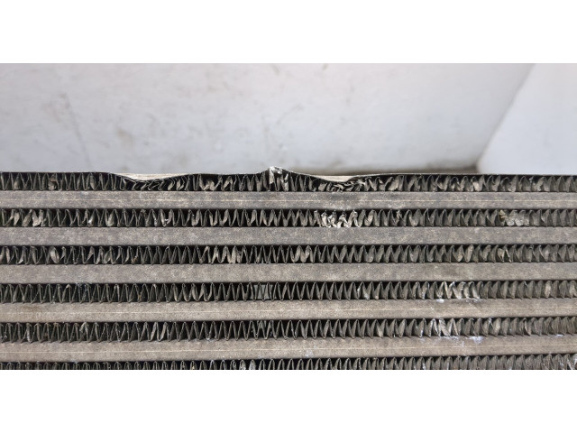 Интеркулер Skoda Rapid