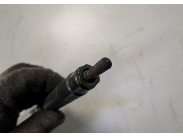 Форсунка топливная  Citroen DS4 2010-2018    1980L3, EMBR00101D     