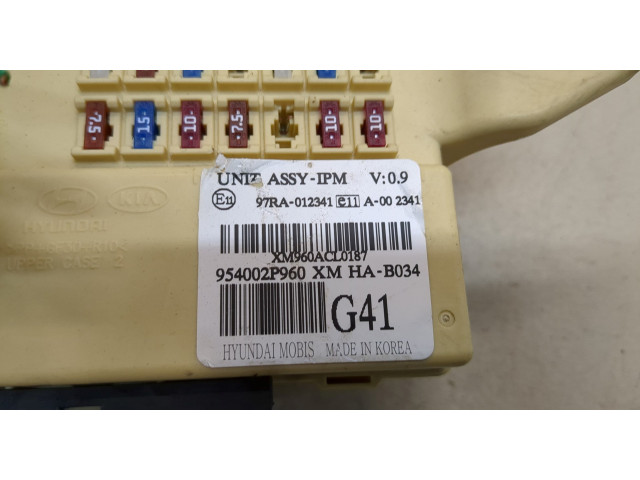 Блок предохранителей KIA Sorento 2009-2014