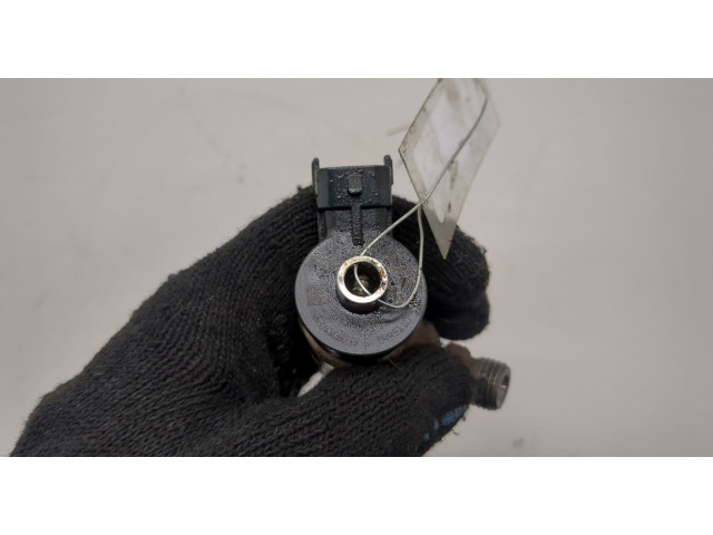 Форсунка топливная Dacia Logan 2012-2016 166008399R