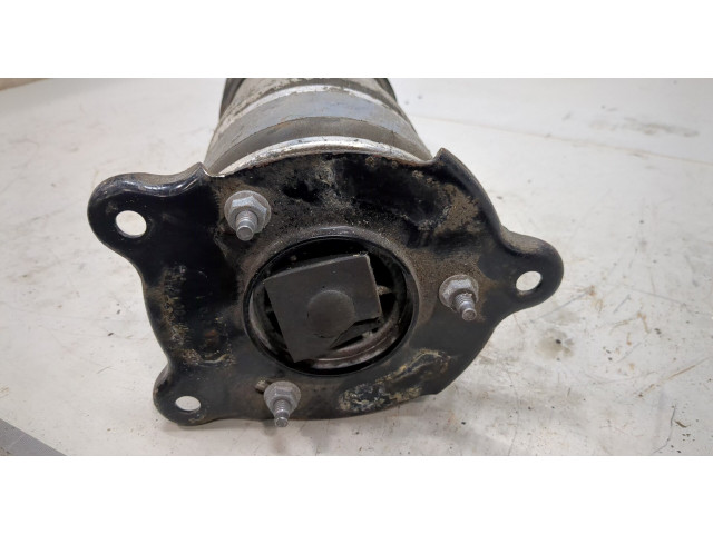 Стойка амортизатора Tesla Model S F4BE5J092W0, 600635204a