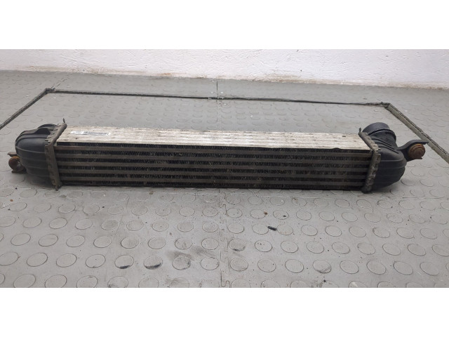 Интеркулер Mini Countryman (R60) 2010-2016