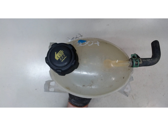 Бачок расширительный Dacia Logan 2016-2020 217107259R