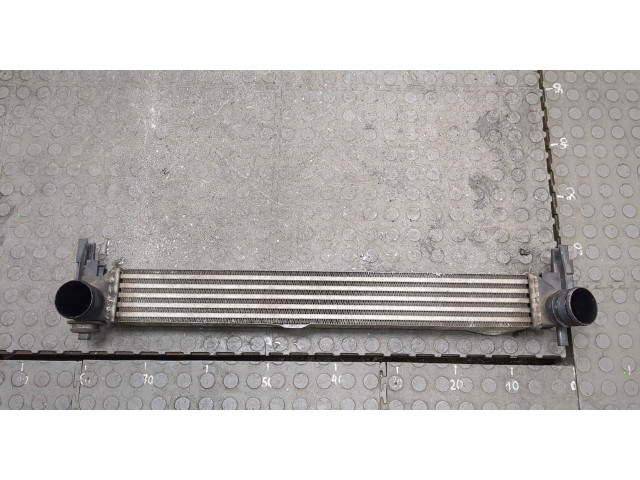 Интеркулер Skoda Rapid