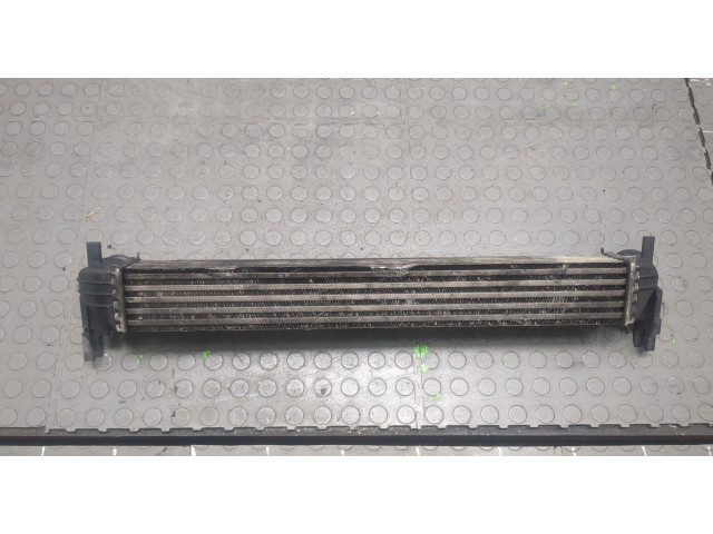 Интеркулер Skoda Fabia 2010-2014