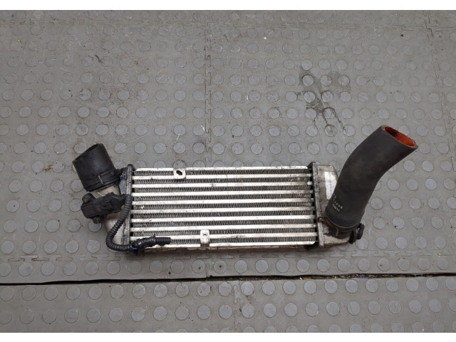 Интеркулер Nissan X-Trail (T31) 2007-2015 2.0 3930084400