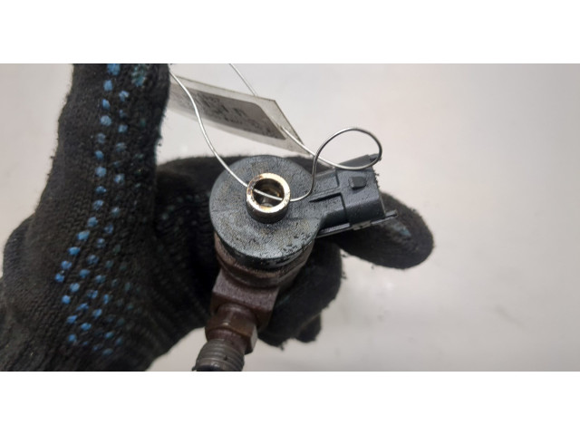 Форсунка топливная Dacia Logan 2012-2016 166008399R