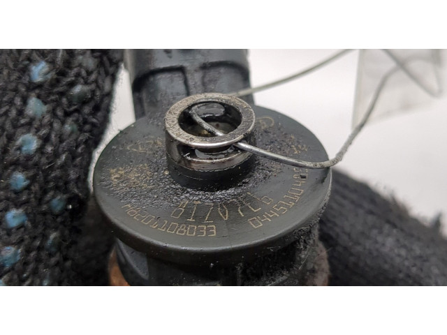 Форсунка топливная Dacia Sandero 2013-2020 166008399R, 166007238R