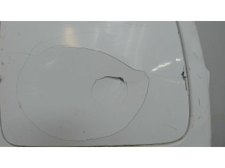 Дверь задняя (распашная) Citroen Berlingo 2002-2008