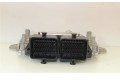 Блок управления двигателя 0261S12369, 0261S12369 Suzuki Ignis