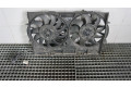 Комплект вентиляторов     4H0121003F, 4H0959455L    Audi A8 S8 D4 4H 