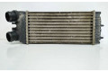 Интеркулер 874964GJ Citroen Berlingo