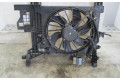 Вентилятор радиатора     214819914R, 214819914R    Dacia Duster 
