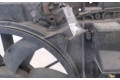 Вентилятор радиатора     1253K2, 21801489    Citroen C4 I 