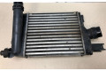 Интеркулер  144963014RZO, 144963014RZO   Renault Clio III 
