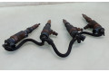 Комплект форсунок 0445110252    Citroen Nemo   