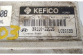 Řídící jednotka 9030930074F, 3911022525 Hyundai Accent 2001