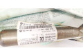 Боковая подушка безопасности 3C0880742F, 3C0880742F   Volkswagen PASSAT B7