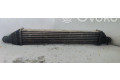 Интеркулер  L9282003   Fiat Freemont 