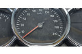 Панель приборов 248106459R   Dacia Sandero       